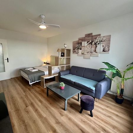 Appartement Rue Condorcet Parking Prive- Dabnb Лимож Екстериор снимка