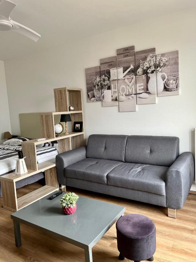 Appartement Rue Condorcet Parking Prive- Dabnb Лимож Екстериор снимка